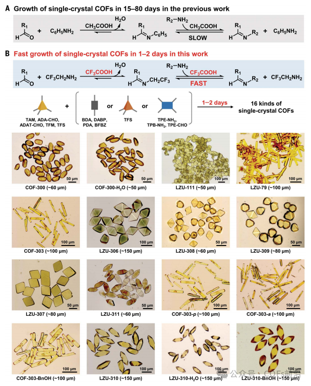 Science：极速！制备150μm单晶COF！！